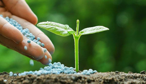 Abonos y fertilizantes — Abonos y Cereales Vallecillo