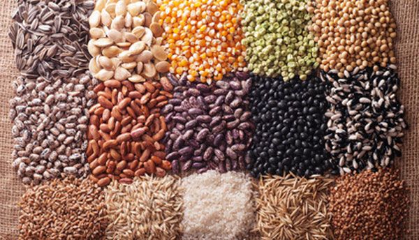 Semillas agrícolas — Abonos y Cereales Vallecillo